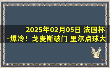 2025年02月05日 法国杯-爆冷！戈麦斯破门 里尔点球大战总分5-6不敌敦刻尔克